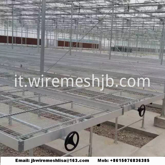 Galvanized Welded Wire Mesh Greenhouse Rolling Benches